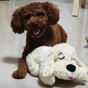 Heartbeat Dog Plush Toy, Pet Anxiety Relief & Calming Tool, Comfortable Dog Toy, Behavior Training & Sleep Aid, Hugging Companion