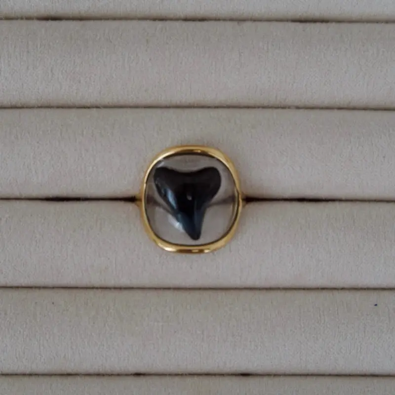 Shark Tooth Ring, Gold Band Size 6