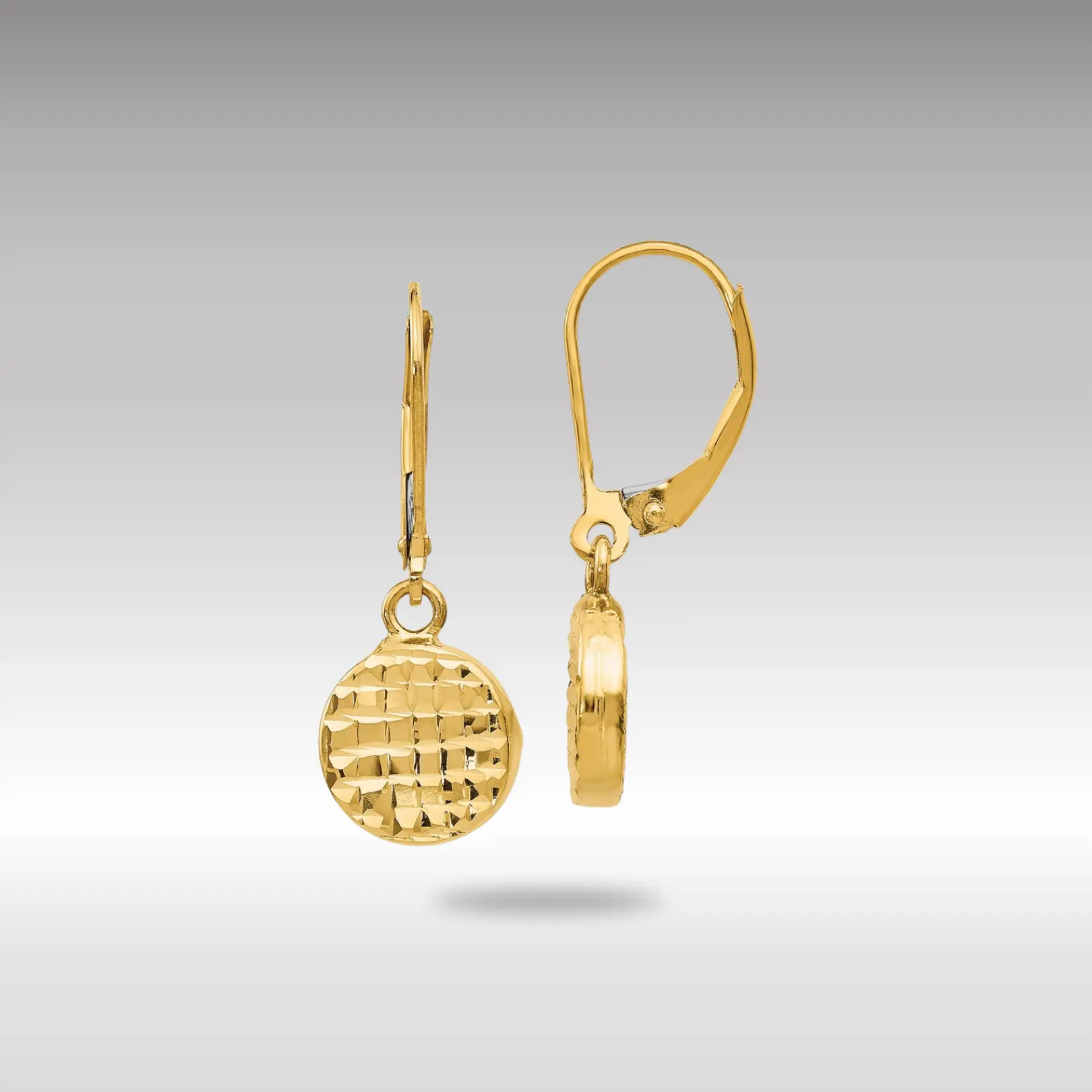 14K Gold Polished Diamond Cut Leverback Earrings - Model LE828