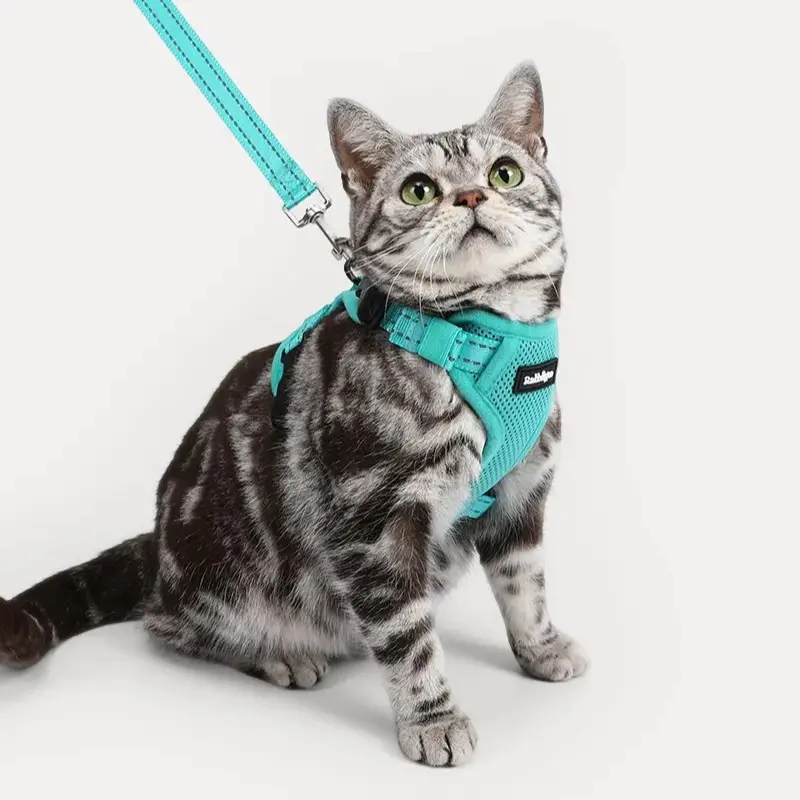 Rabbitgoo SnugFit 3-Point Cat Harness and Leash Set