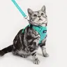 Rabbitgoo SnugFit 3-Point Cat & Kitten Harness and Leash Set - 2-in-1 Locking System, 59-inch Leash, 360° Swivel Clip, Solid Design, Wide Grip, Twilight Visibility, Earsafe Open Neck, Breathable Materials