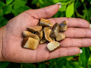 1 lb Picture Jasper Tumbled Stones, Brown Jasper Stones, Natural Healing Stones, Crystal Collection, Unique Gift Idea, Picture Jasper Bulk