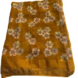 Preplated Saree Ready to Wear with Picco Design Floral Pattern and Elegant Beading for Special Occasions