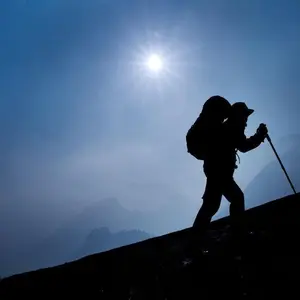 Foldable Trekking Poles for Mountaineering Hiking and Camping - Portable Balance Support for Women and Men - Ideal for Travel and Outdoor Activities