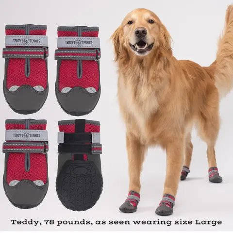 Teddy's Tennies - All Season Protective Dog Shoes