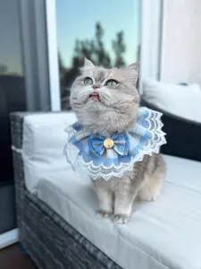 Classic Plaid & Lace Pet Collar – Timeless Elegance for Your Furry Friend