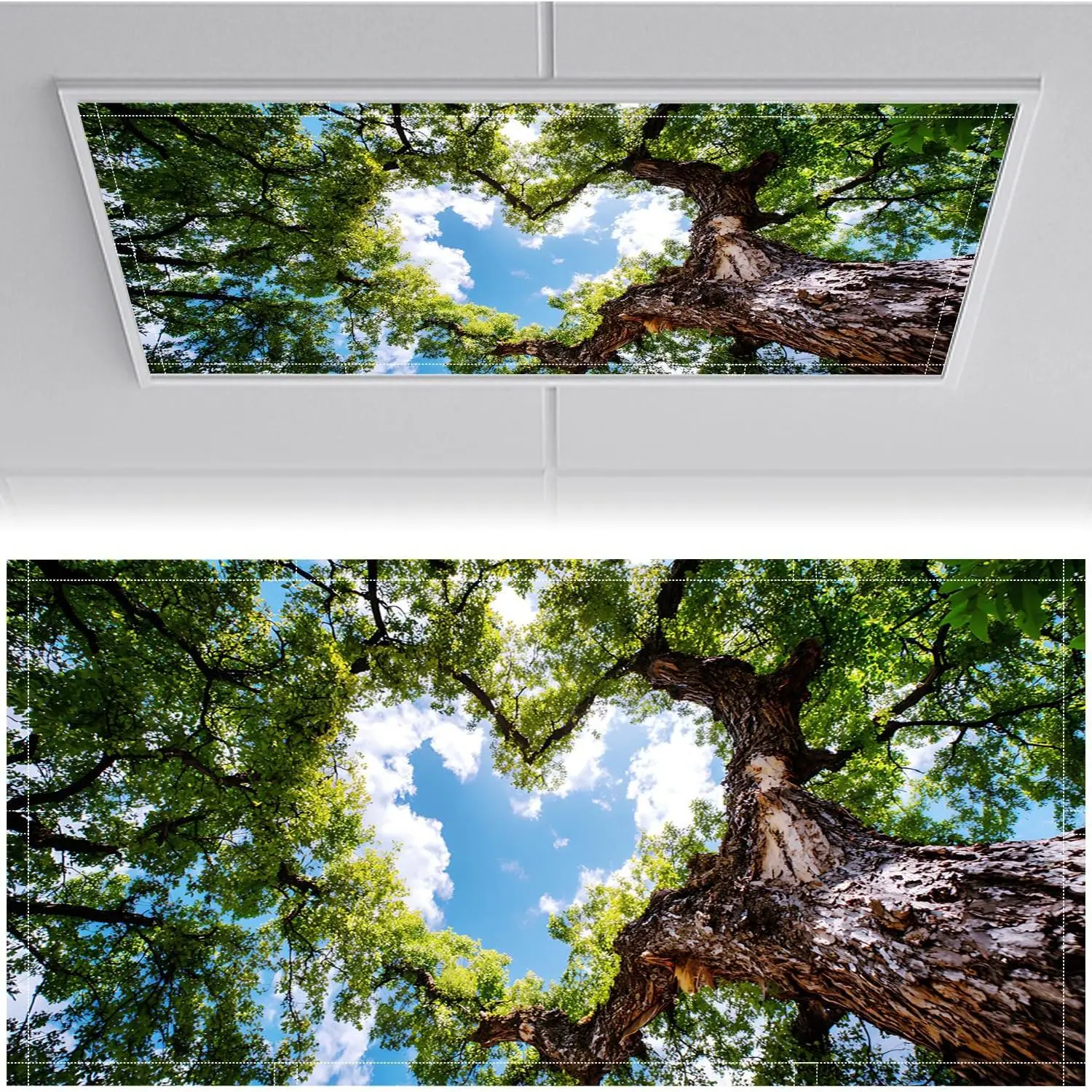 2 Pack Fluorescent Light Covers for Ceiling Lights 2x4ft Magnetic Ceiling Light Cover Panels Sky and Leaf Design Easy Installation Soften Harsh Light for Home Office Classroom