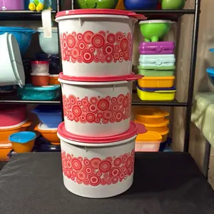 Tupperware Refrigerator Container 3 Piece Set