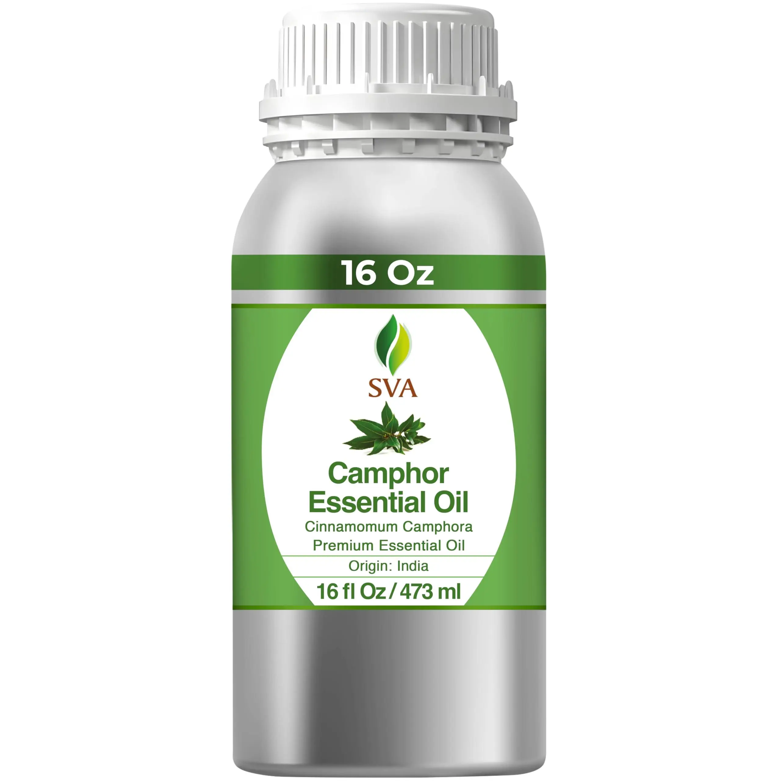 SVA Camphor Essential Oil – 16 Fl Oz – 100% Natural Camphor Oil - for Diffuser, Hair Care, Face, Skin Care, Aromatherapy, Scalp and Body Massage, Soap and Candle Making