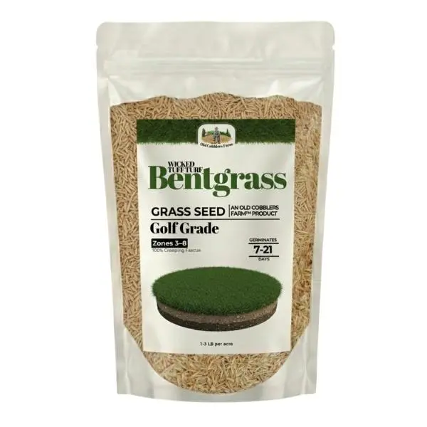 Old Cobblers Farm Wicked Tuff Turf Bentgrass (Grasses)