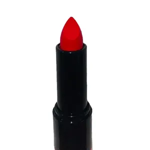 Classy Chic 110 Matte Hydrating moisturizing buttery soft lipstick