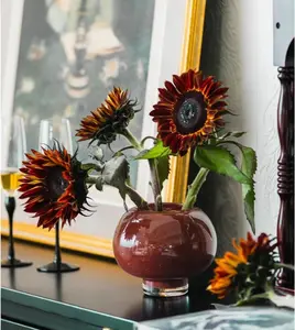 Thresh Seed Company Chocolate Cherry Sunflower - 100 Seeds - Unique Burgundy Red Sunflowers Attracts Pollinators Non GMO Heirloom Seeds for Home Garden Planting