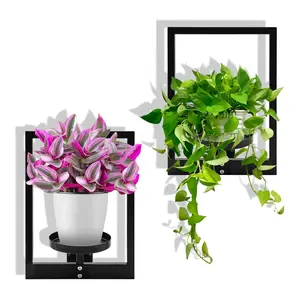 Wall Mounted Planters Set Of 2 Black Iron Wall Planters, Modern Gallery Style Indoor/Outdoor Hanging Flower Shelf, Minimalist Design