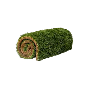 Live Grass / Live Sod