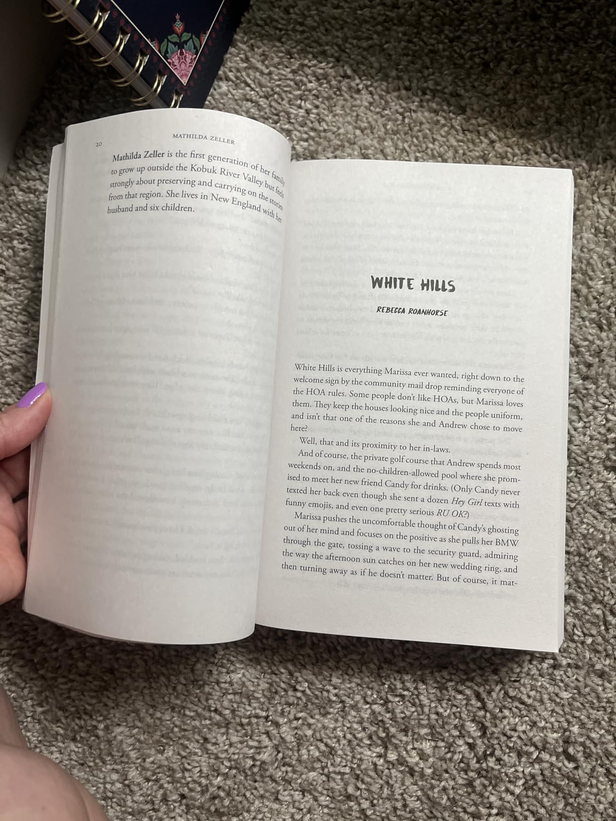 Never Whistle at Night: An Indigenous Dark Fiction Anthology Paperback – September 19, 2023