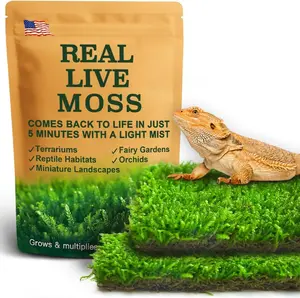 Live Moss for Reptiles - Terrarium Moss for Reptiles Peat Moss for Reptiles Habitat Bedding Moss for Snakes Turtle Frog Gecko and Other Reptiles Substrate 50 Square inches Live Moss