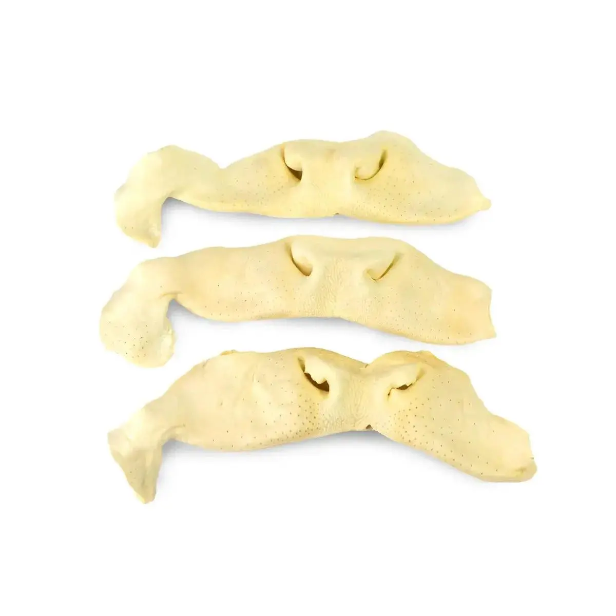 Beef Snouts Beef Snouts