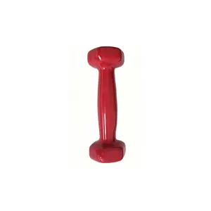 0.5kg Immersion Plastic Dumbbell, Small Weight Dumbbell for Upper Body Training, Ideal for Home Gym and Fitness Enthusiasts