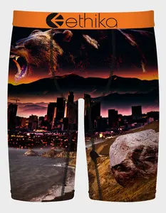 ETHIKA Always Primal Mens Boxer Briefs