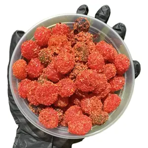 Miami Pika Spicy Sour Gusherz Candy Sweet Snack