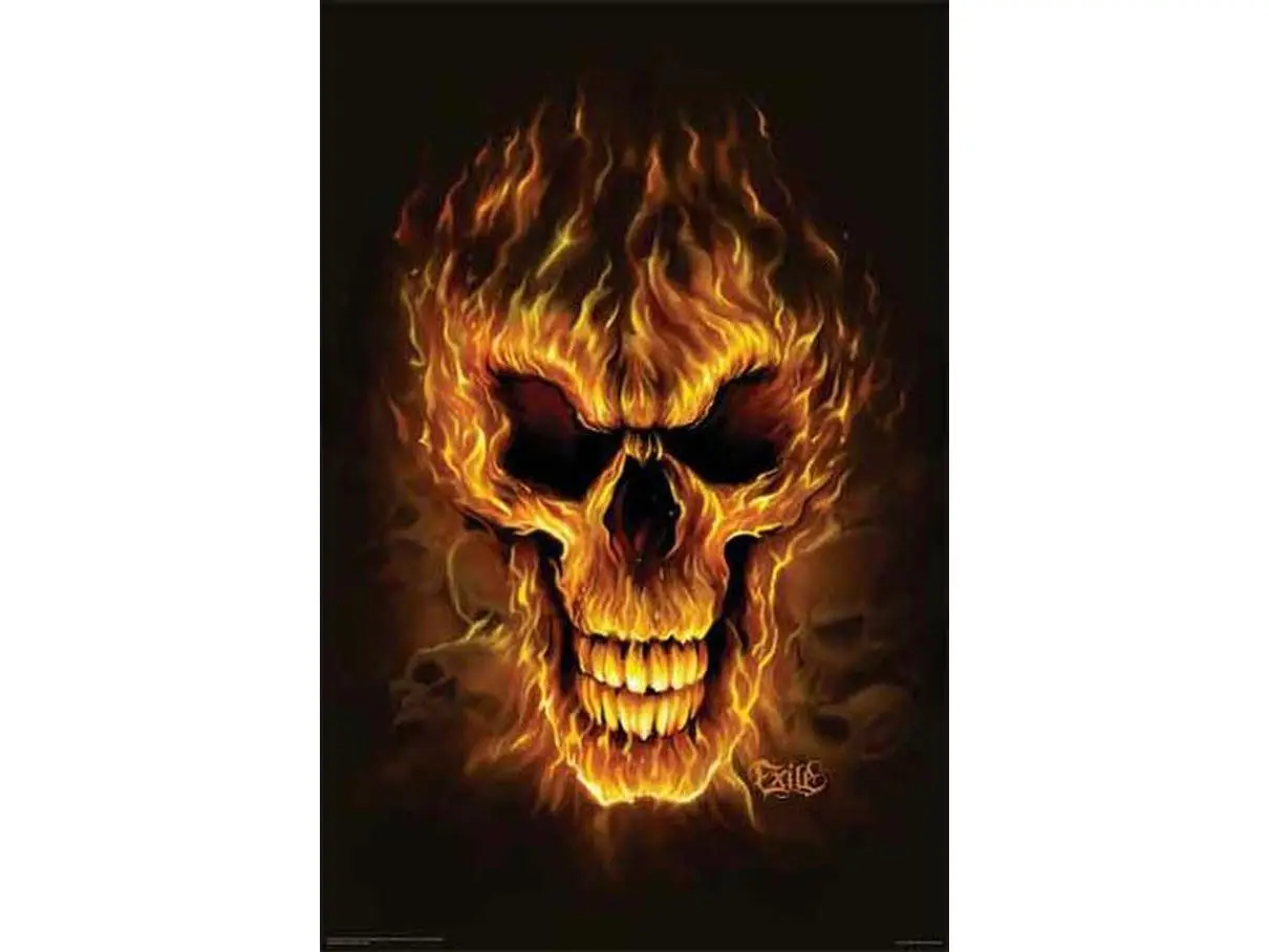 Hot Stuff 1058-16x20-SD Flame Skull Poster