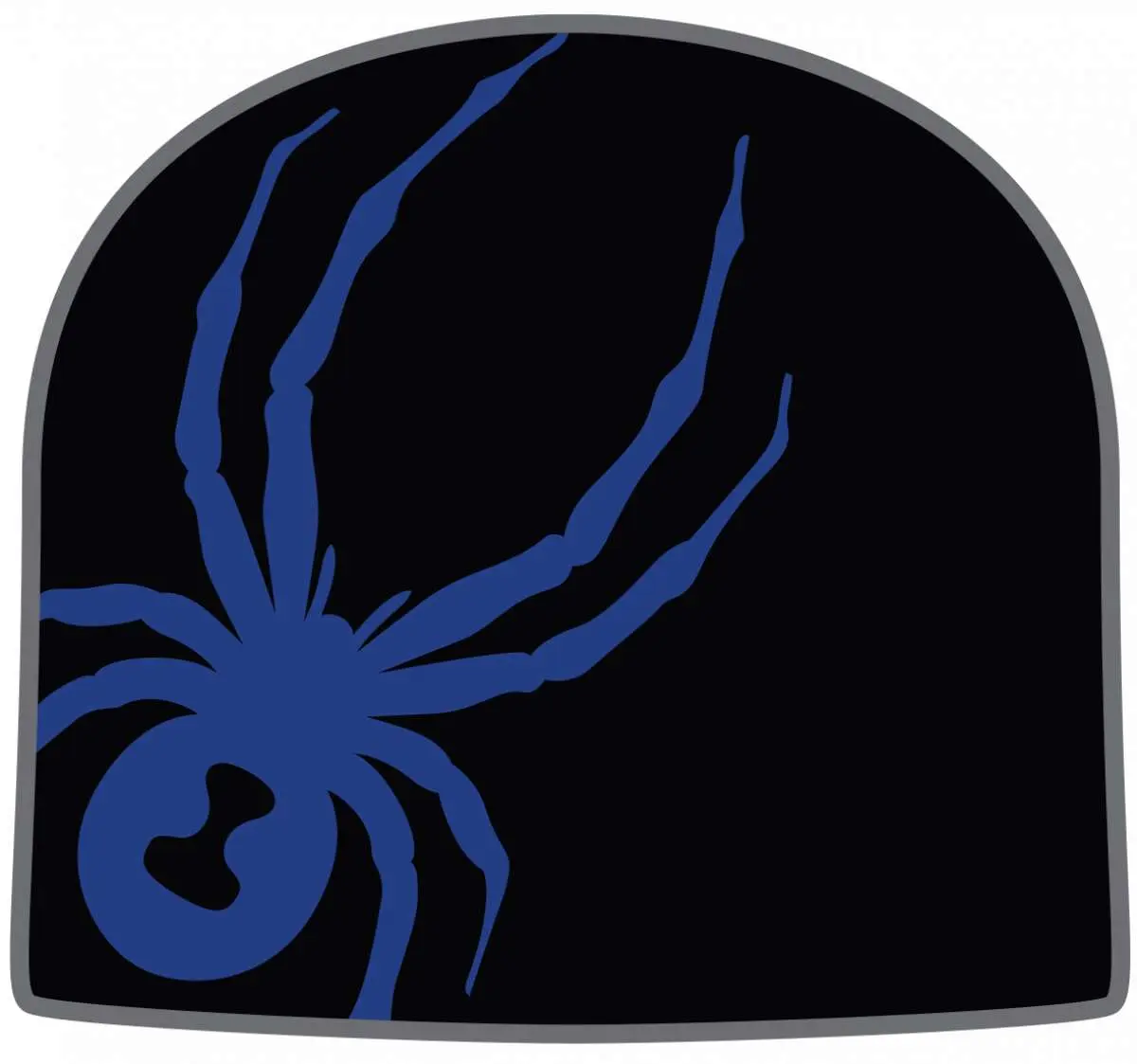 Spyder Arachnid Beanie 2024
