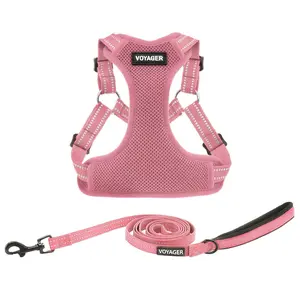 Step-In Flex Harness & Leash Set with Air Mesh