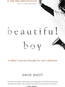 Beautiful Boy : A Father's Journey Through His Son's Addiction
