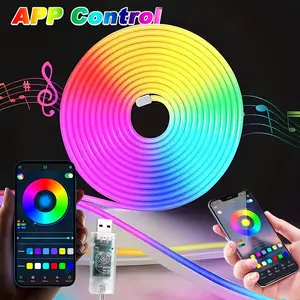 Rgbic Neon Light Strip, DIY Color-Changing LED Strips, USB Smart APP Control, Music Sync, Home Decor, TV, Computer, Bedroom, Party, Christmas, Led Dimmable