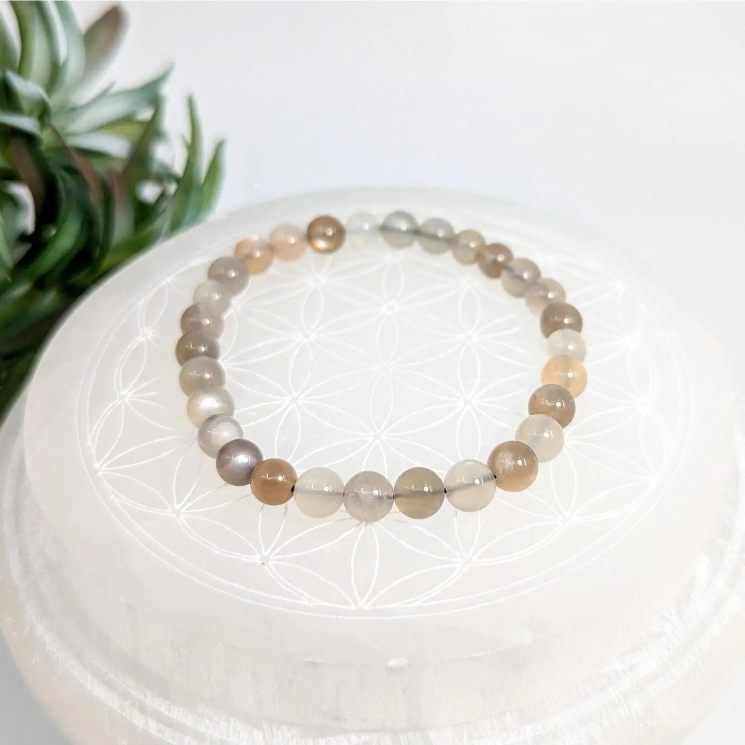 Silver Moonstone Bead Bracelet - 7 inch, 6mm beads
