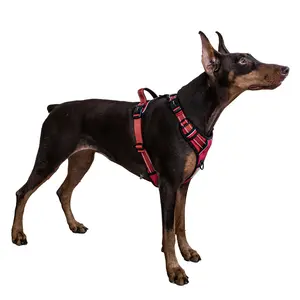 SatSun EasyHold Dog Harness For tranning Large