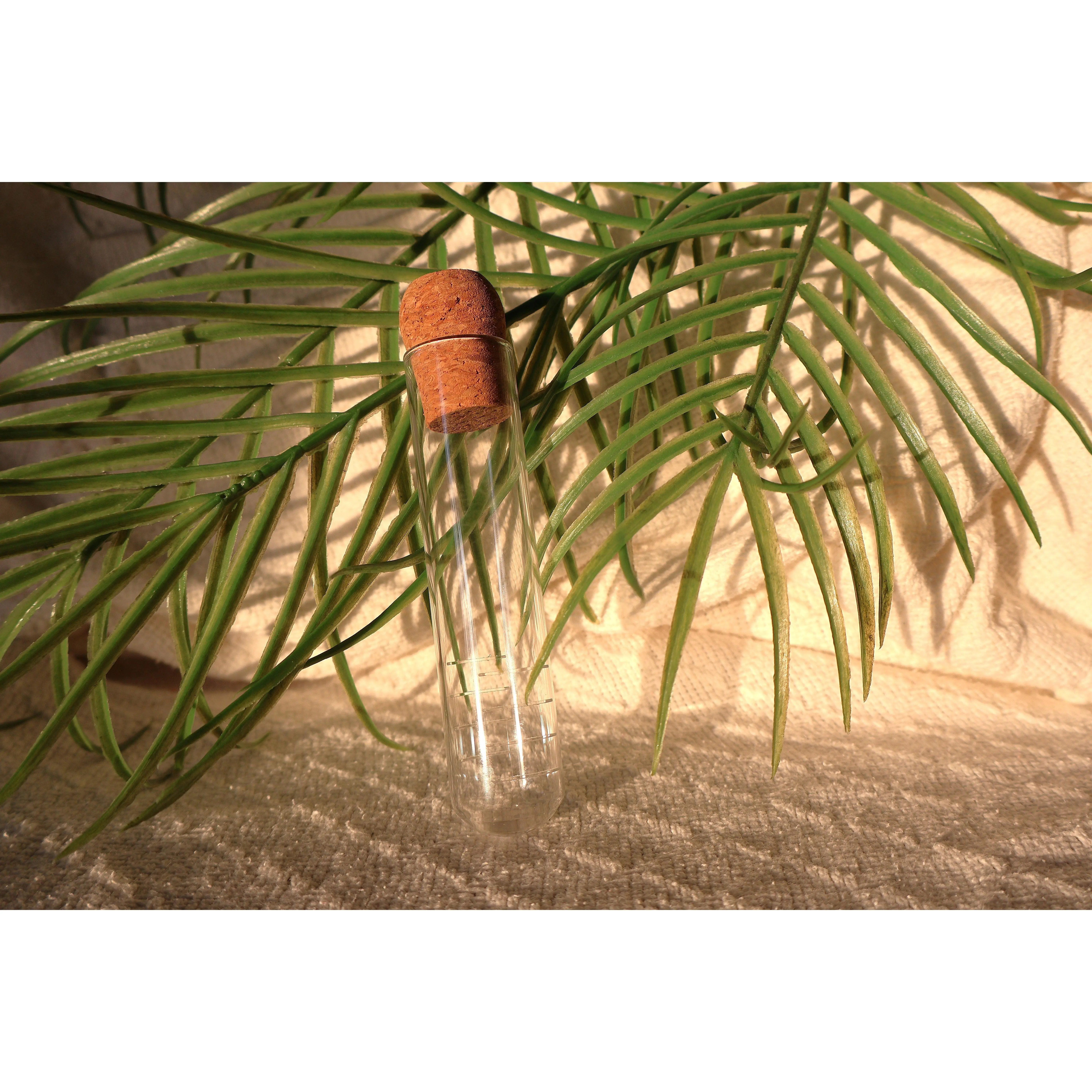 Glass Tea Infuser