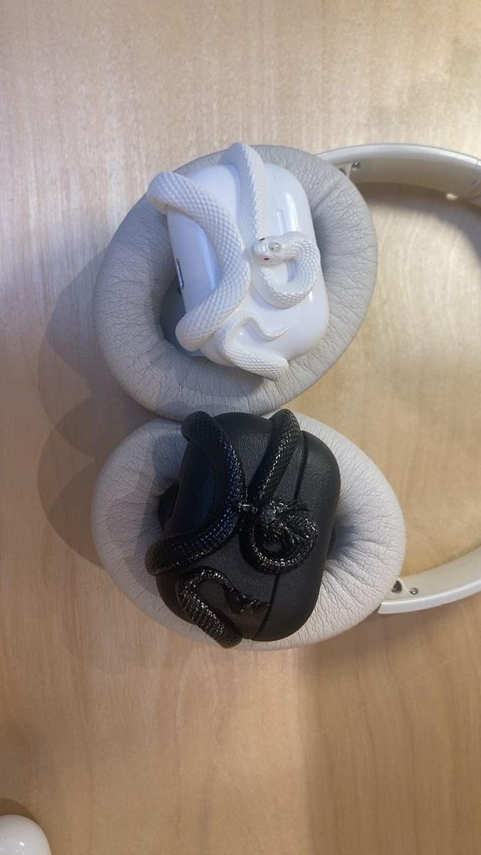 Item: Black Snake With Black Case, Airpods 4