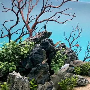 manzanita decor for aquariums .Real wood .