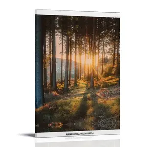 Harts-Mountains Poster Posters Music Album Cover Posters Canvas Wall Art High-Resolution Vintage Band & Artist Prints for Room
