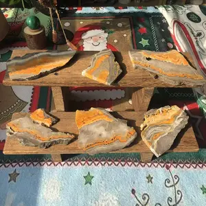 Natural Crystal Bumblebee Jasper  Slice Collection