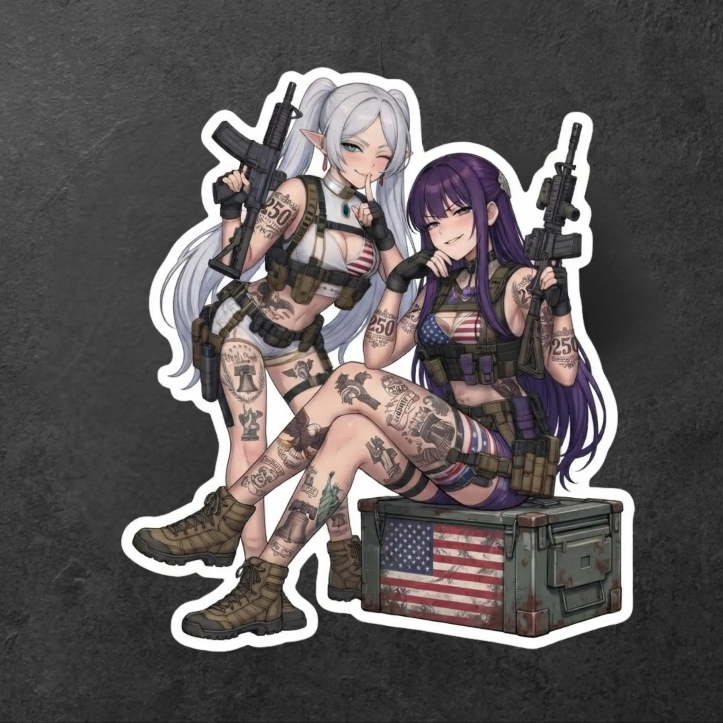 Frieren x Fern Elf Duo Patriotic Tactical Sticker, Anime America 250 Vinyl Decal, Laptop Helmet Car Decor