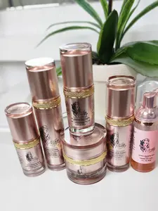 PRETTY NATURE BY JOYCE All Pretty Nature Skincare Set 6 products -1 Cleansing Foam & Toner, 1 Pomegranate Toner, 1 Hydrating Serum, 1 Eye Cream, 1 Luxury Skin Cream, 1 Night Renewal Cream