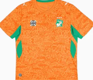 Personalized Ivory Coast Soccer Jersey Full Set World Cup 2026, Custom Name Number Logo National Soccer