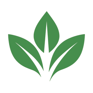 Quality Wellness