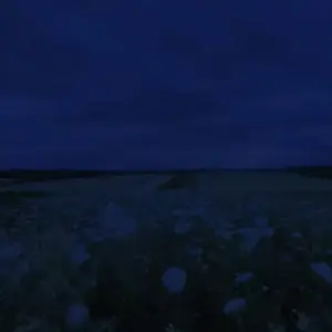 background preload poster image 