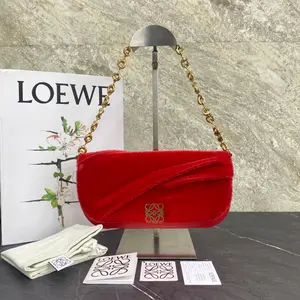 Pre-owned Loewe Velvet Shoulder Bags 7.8'' R2489 Shoulder Bag C17414110178 1219 T1 Chloe