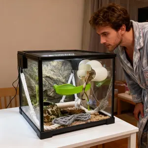 Cloud-Shaped Hideaway for Lizards, Frogs, and Amphibians, Animal Enclosure, Decorative Enclosure for Reptiles, Ideal for Terrariums and Habitats