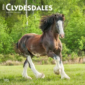Clydesdales | 2026 12 x 24 Inch (Hanging) Monthly Square Wall Calendar | Plastic-Free | BrownTrout | Animals Horses