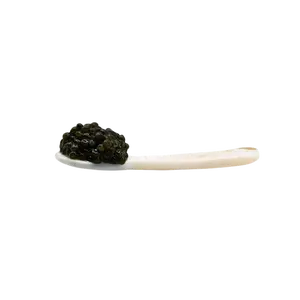 Caviar Spoon
