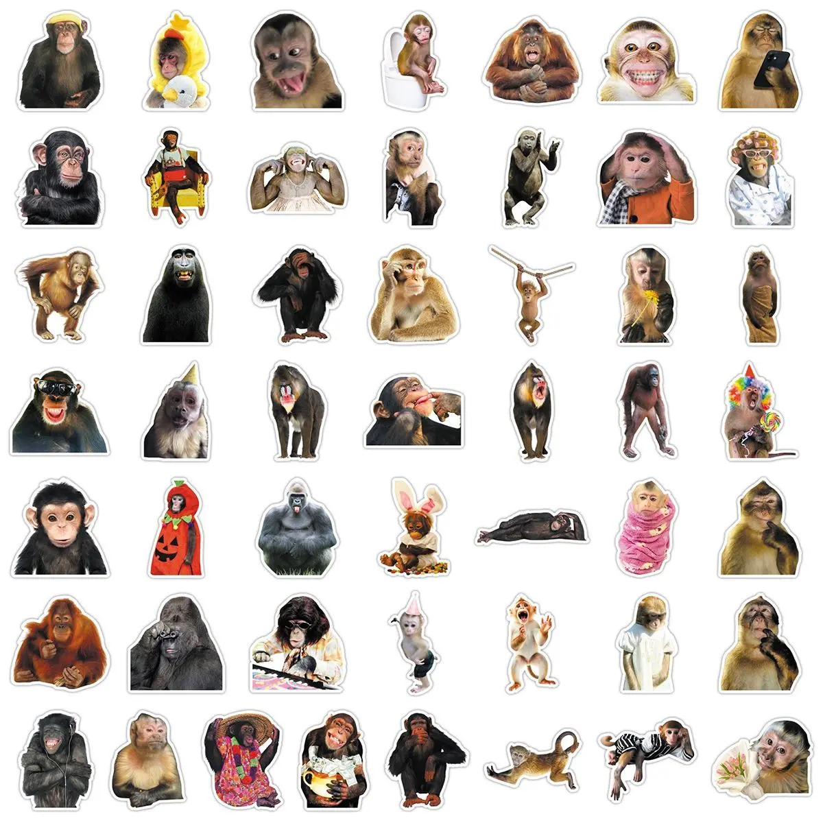 100Psc Monkey Stickers Set - 30 Unique Designs Featuring Various Monkey Species in Fun and Expressive Poses