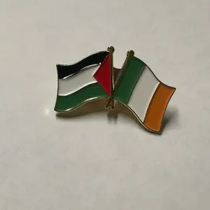 Palestine & Ireland Flag pin