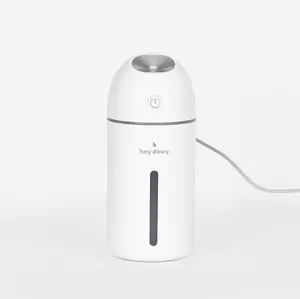 Hey Dewy Portable Facial Humidifier (Wired Version)