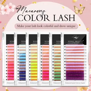 winky beauty Macaron color Hand Woven Synthetic Mink Eyelashes, Diy Eyelash Extensions, 0.07mm Individual 6 Colors Rainbow Rose Pink/Purple/Yellow Faux Mink Color Eyelashes, Soft Natural Individual for Eyelash Extensions Makeup Tool