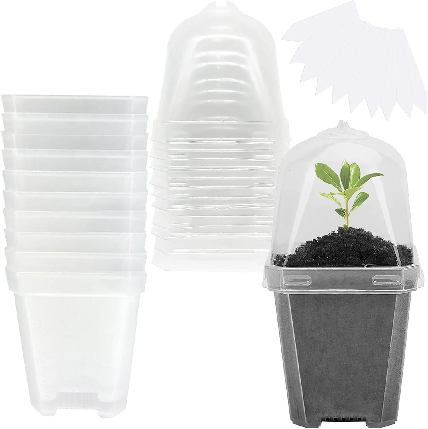 10PCS Clear Plant Nursery Pots with Humidity Dome - 3" Plastic Gardening Pot with Labels, Durable Plastic Plant Container for Seedlings/Vegetables/Succulents/Cuttings